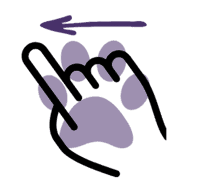 Petwrk